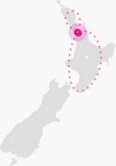 Auckland to Wellington map