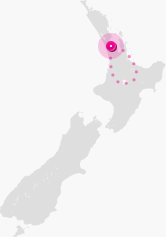 Auckland to Wellington map