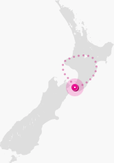 Auckland to Wellington map