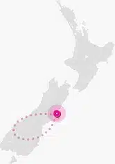 Auckland to Wellington map