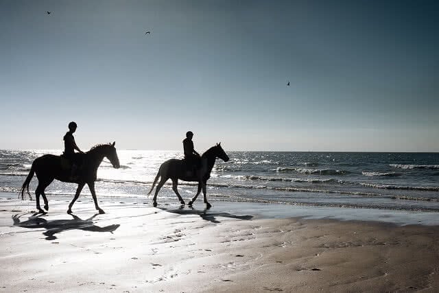 Horse riding on Pakiri Beach, just over an hour north of Auckland