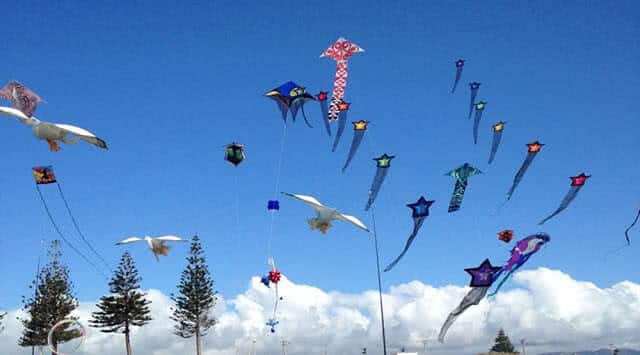 Otaki Kite Festival Kites