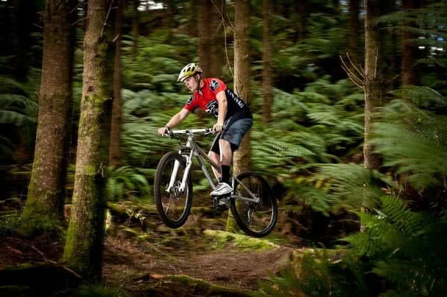 Image of a mountain biker in Whakarearewa Forest, Rotorua