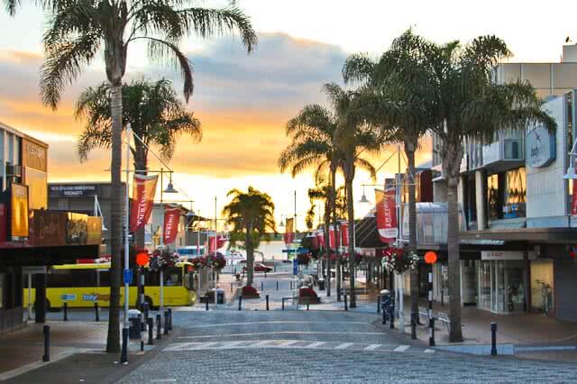 A brick paved road lined with palm trees leading down to a promenade with the sun setting in the background.