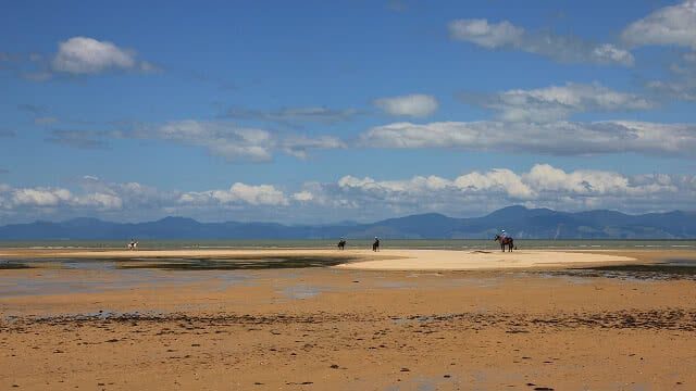 Image of Horse riding on the beach at Golden Bay