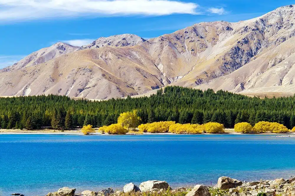 A photo of Tekapo in the Autumn