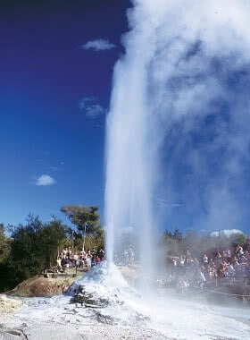 The Lady Knox Geyser at Wai-O-Tapu