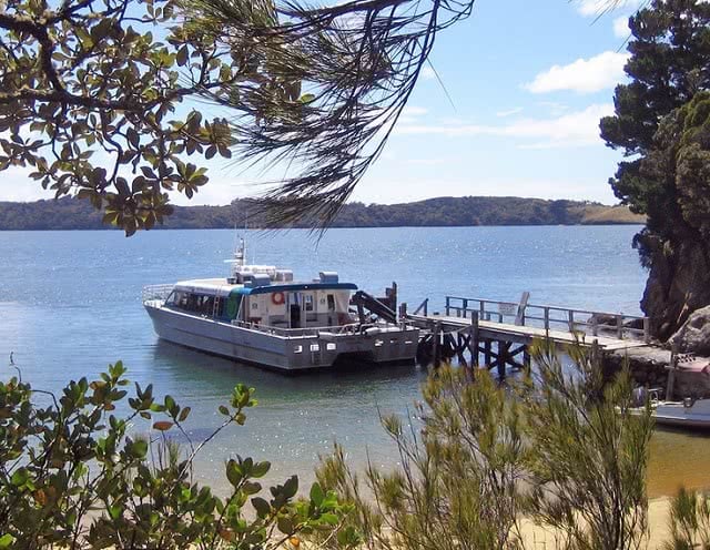 Cruising Stewart Island with Real Journeys