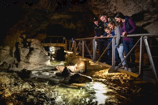 The magnificent glowworm caves at Te Anau with Real Journeys