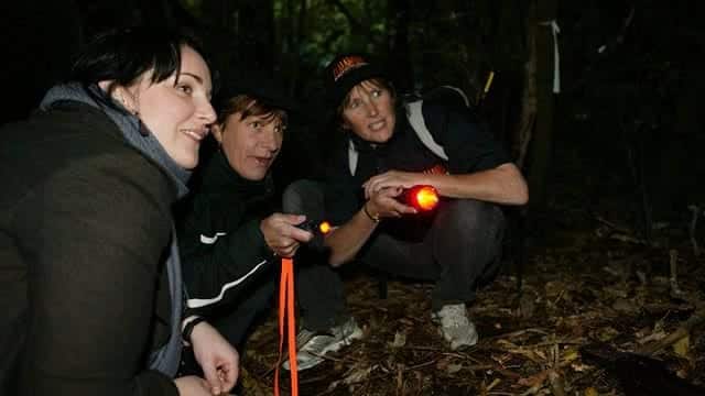 Zealandia at night tour. Image credit: visitzealandia.com