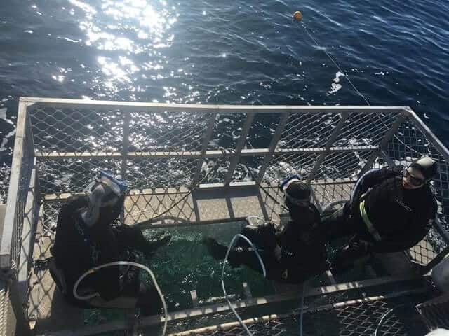 Shark Experience - waiting to cage dive with great whites