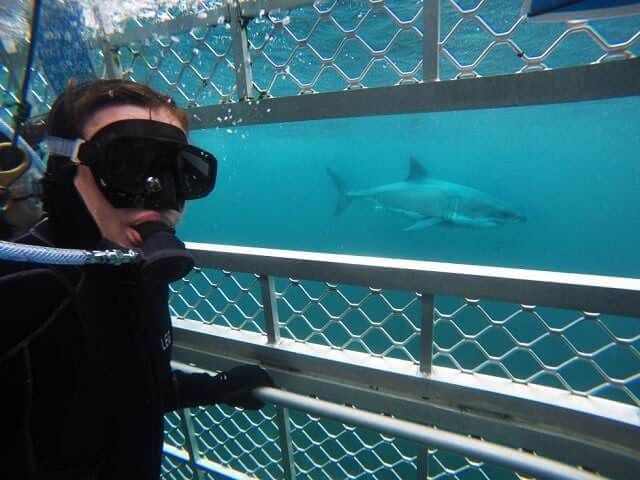 Shark Experience, Bluff New Zealand