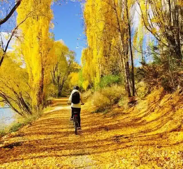 Cycling in the autumn trees