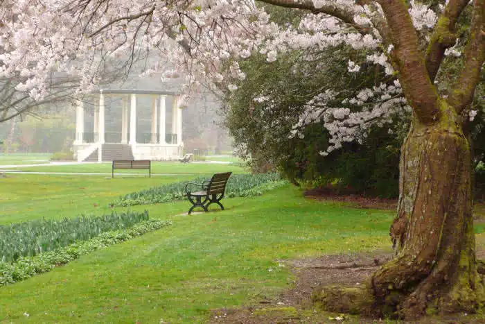 Image of Queens Park Invercargill