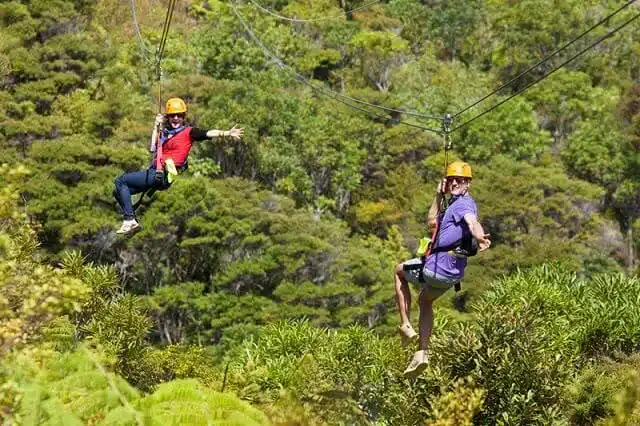 EcoZIp on Waiheke - ziplining over the vineyards