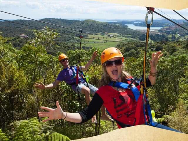 Ecozip Waiheke - Auckland city views