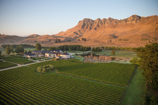 A green vineyard in a valley below a brown mountain range