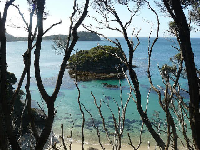 Rakiura National Park. Photo credit: DOC