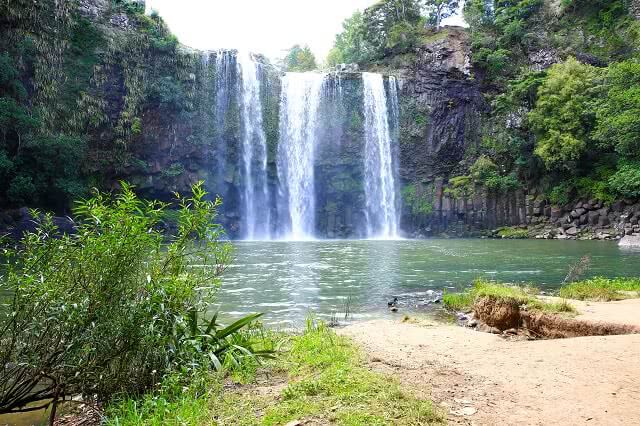 Whangarei Falls