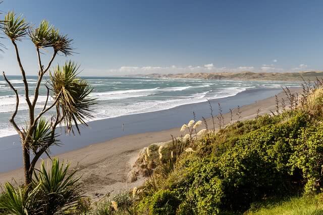 Raglan Surf Beach