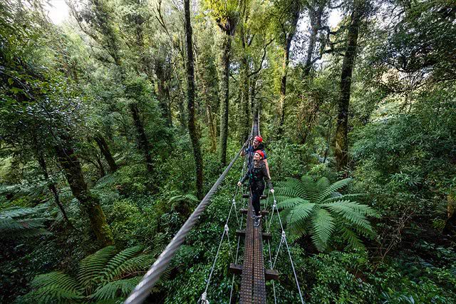 High top adventures with Rotorua Canopy Tours