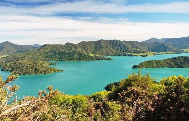 Marlborough Wine Region, New Zealand