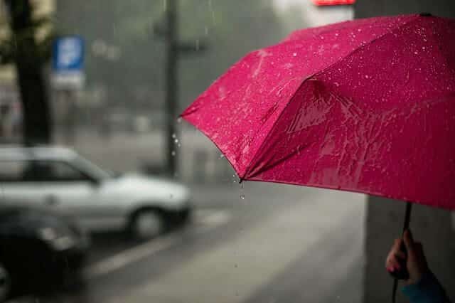 Pink Umbrella in the rain