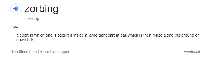 Zorbing Definition