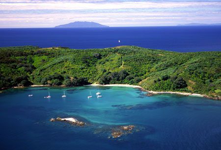 Image of Tiritiri Matangi ISland off the tip of the Whangaparaoa Peninsula north of Auckland