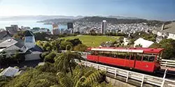 Image of Oriental Bay in Wellington taken from Mt Victoria on a sunny summer's day