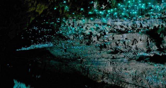 Te Anau Glowworm Caves