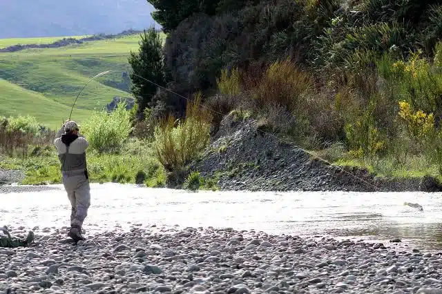 Trout Fishing in Te Anau