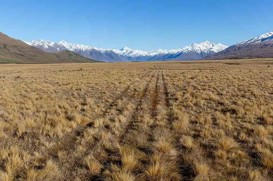 Te Araroa Trail by Lake Clearwater, Canterbury, New_Zealand