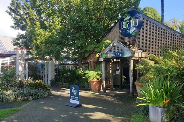 The entrance to the Botanica fernery, surrounded by green ferns and a large tree.