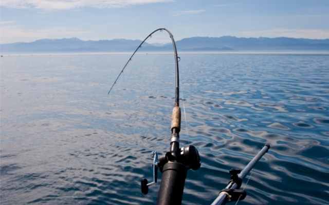 Best Fishing New Zealand