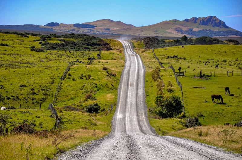 Mt Chudleigh and Wharekauri Station