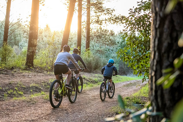 a family of 3 riding bikes through the forest