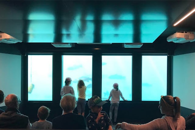 families watching the sea life through the underwater windows 