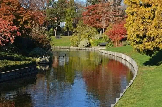 The Avon river bending between red and orange hued trees on its banks