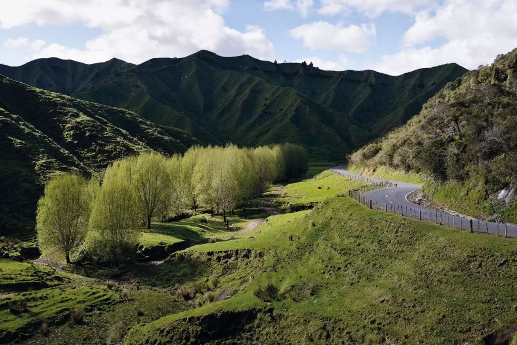 forgotten world highway road in new zealand