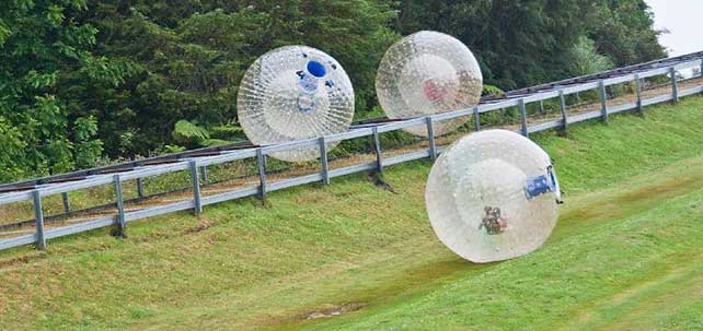 Zorbing down the hill in a giant inflatable ball in Rotorua